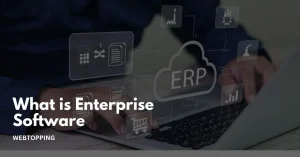 what is enterprise software