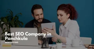 seo company in panchkula